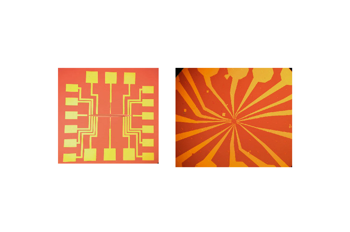 石墨烯測試電極